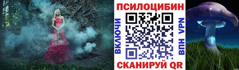 kraken ссылки  Димитровград  Галлюциногенные грибы мицелий 